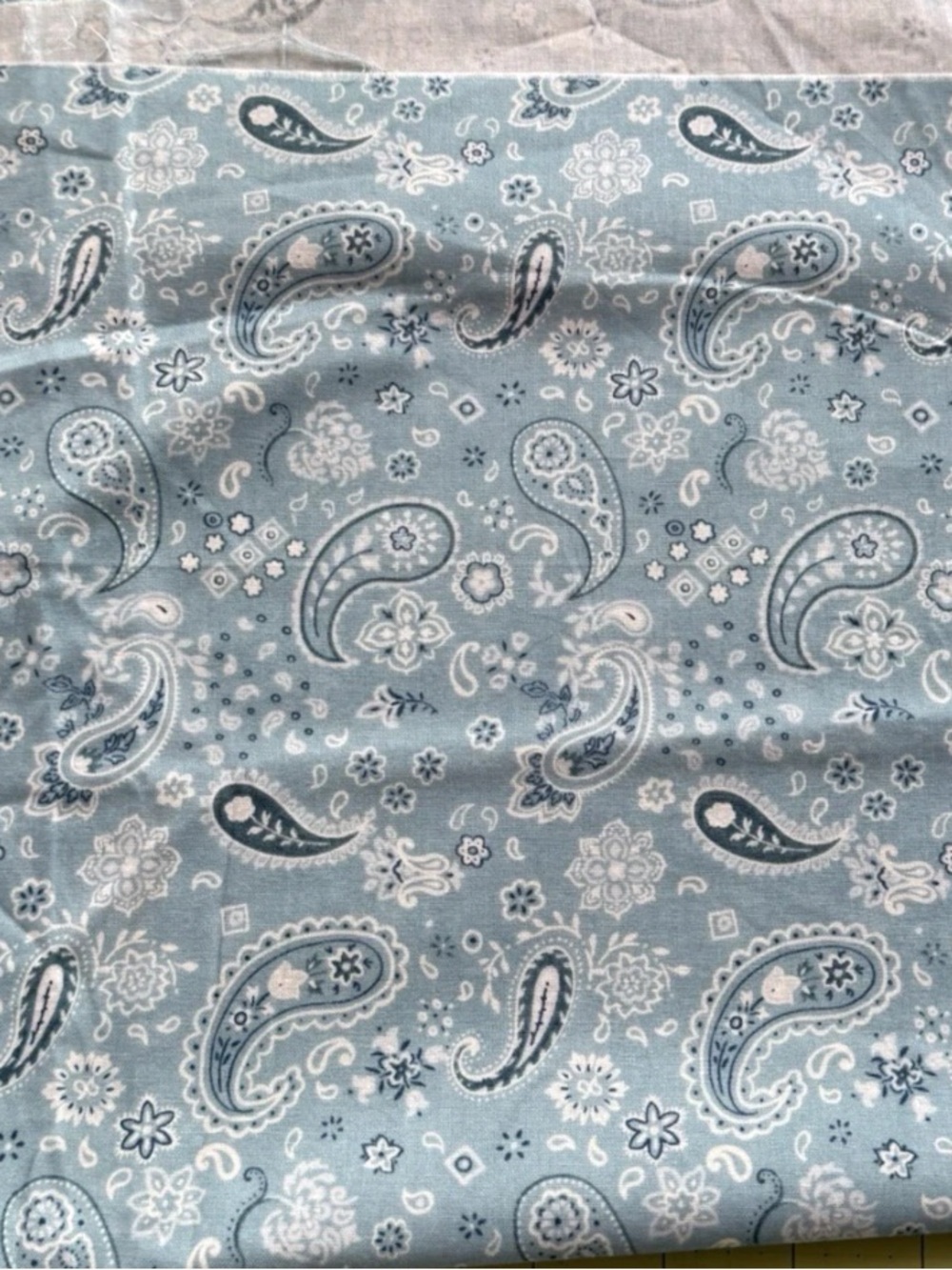 Wilmington Prints Early to Rise Baby Blue Bandana Quilting Cotton Fabric 22"x44"
